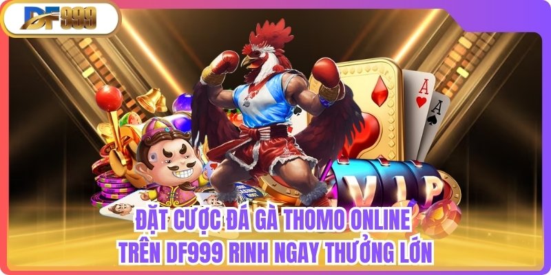 Đặt Cược Đá Gà Thomo Online Trên Df999 Rinh Ngay Thưởng Lớn